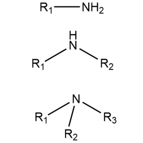 Amine-1